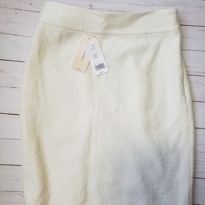 Banana Republic Petite Skirt
